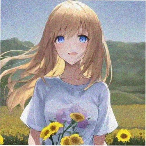 观众青禾的头像
